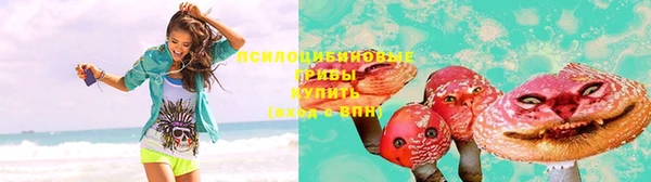 прущие грибы Абинск