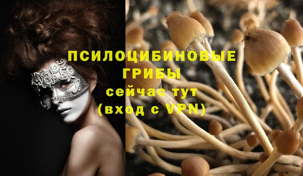 экстази Алексин
