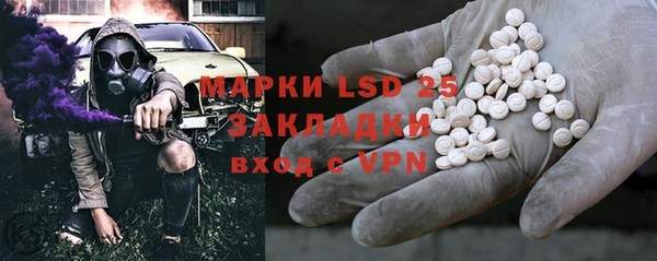 индика Осташков